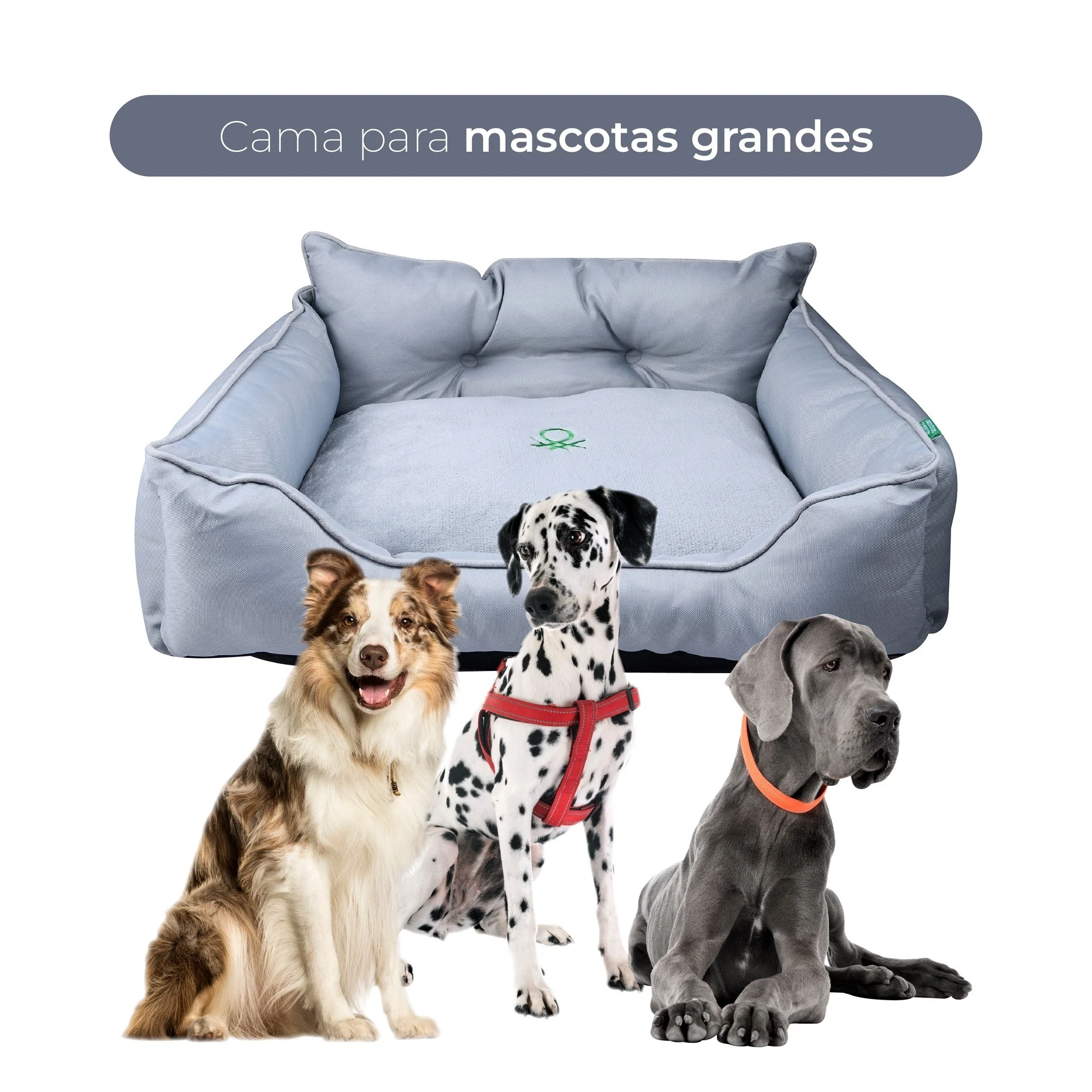 Imagen del producto 4