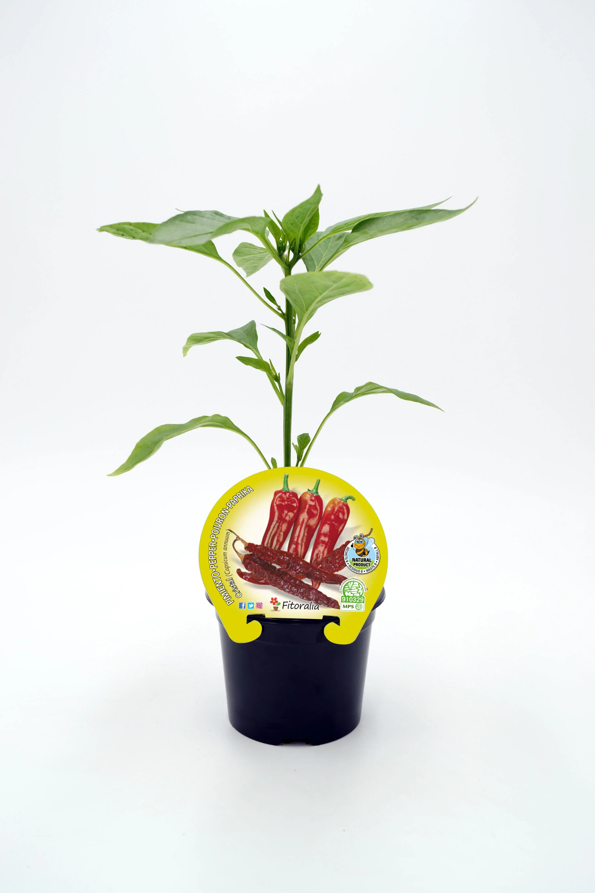 Imagen del producto 1