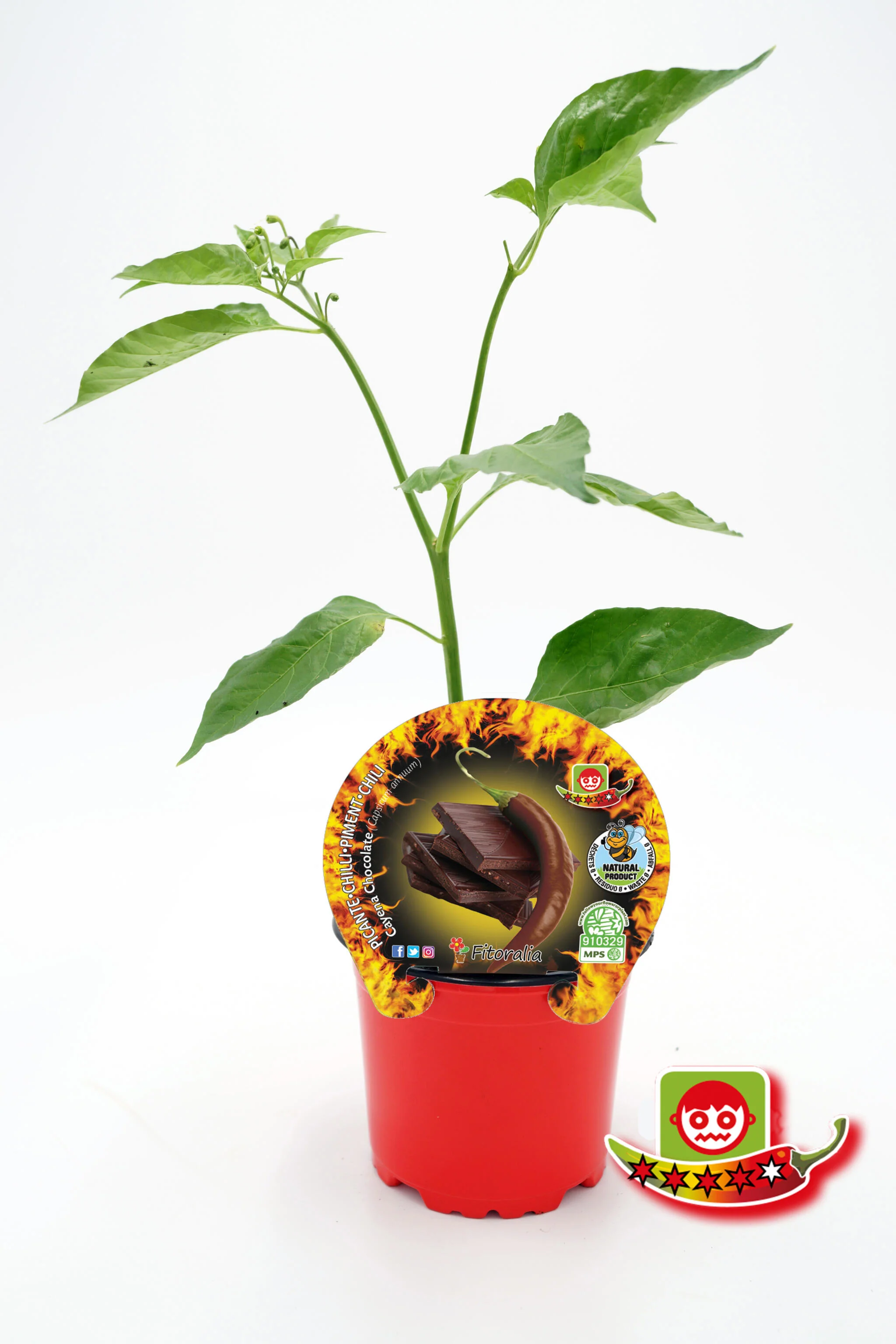 Imagen del producto 1