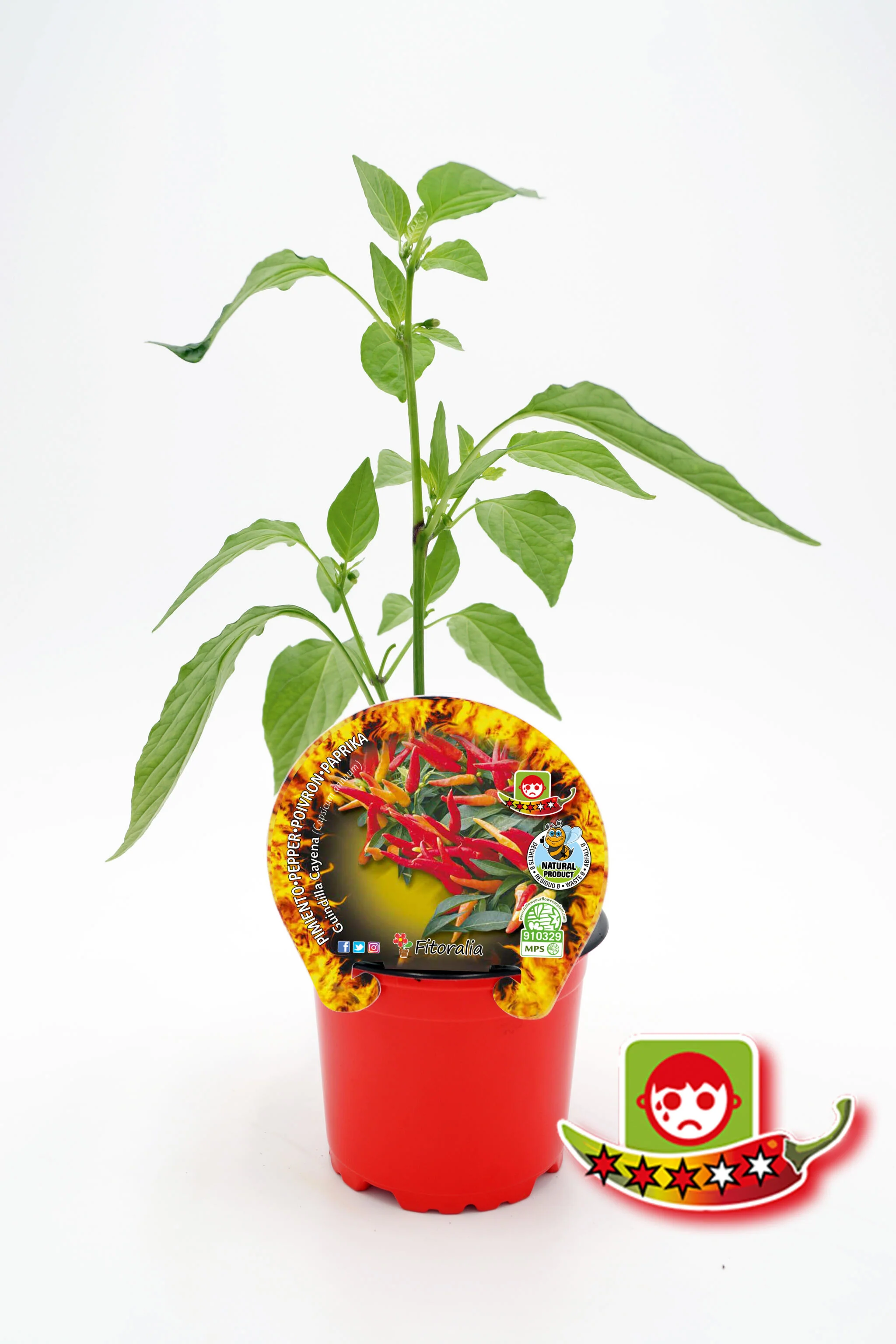 Imagen del producto 1