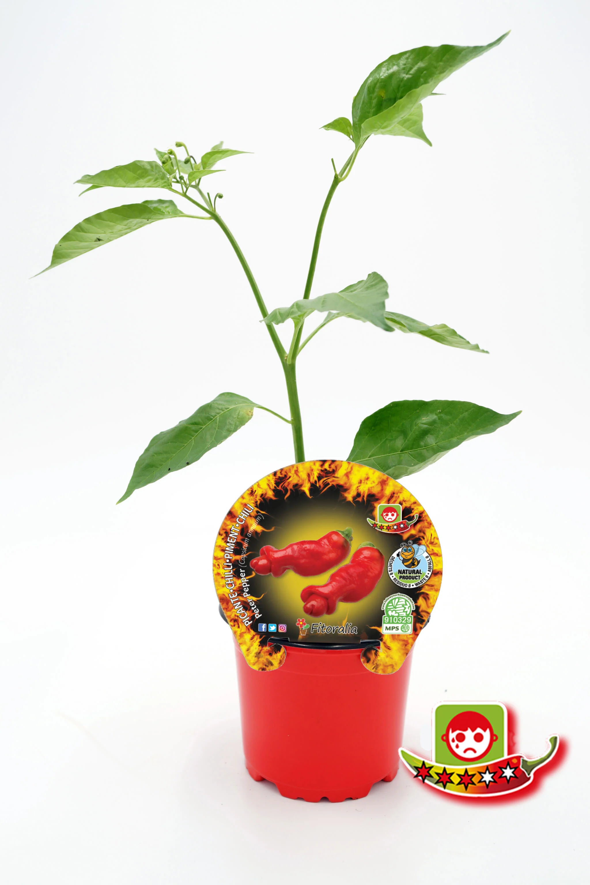 Imagen del producto 1