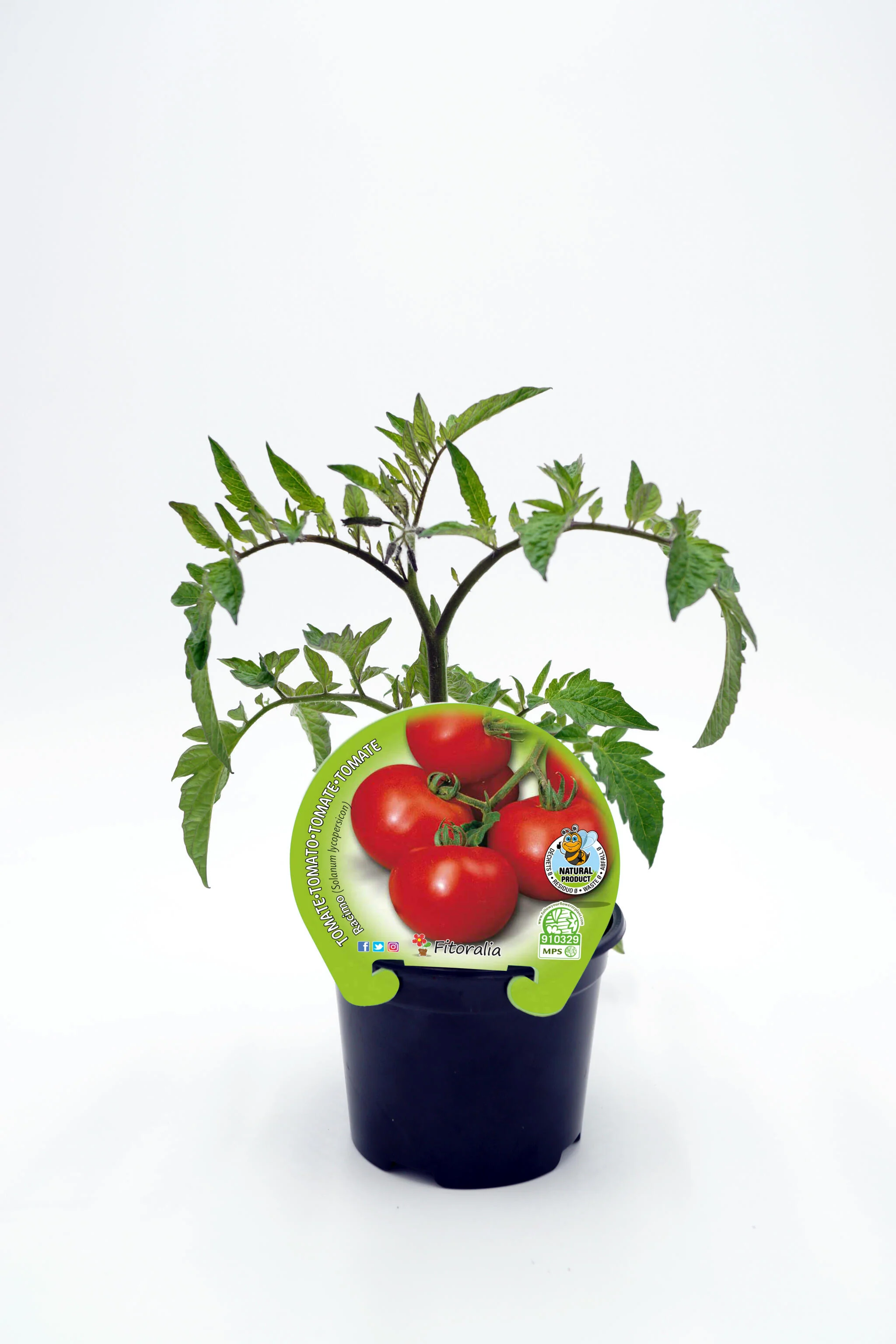 Imagen del producto 1